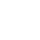 finest painters logo whiite
