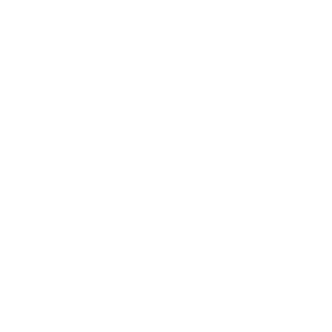 audits icon