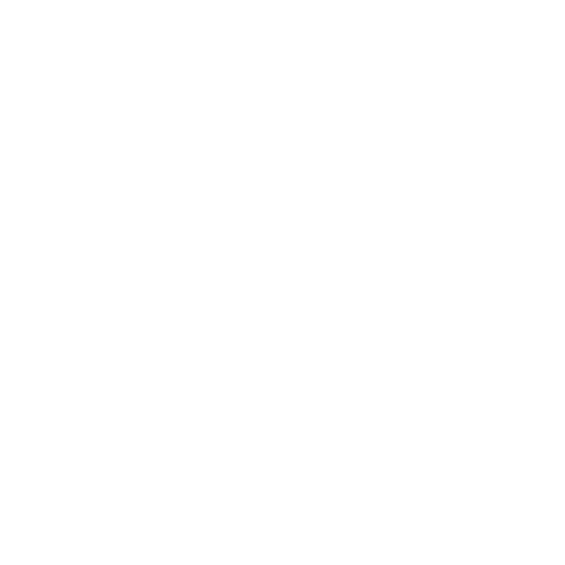 network icon