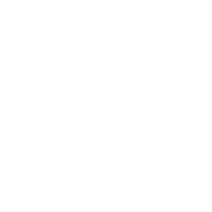 reporting icon