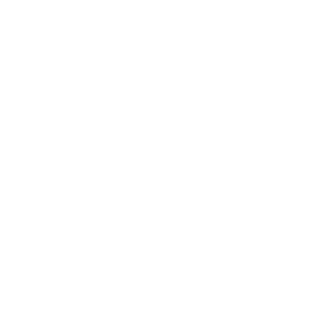 strategy icon