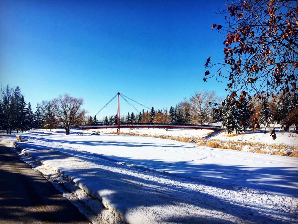 Modern website design for st.albert alberta businesses.