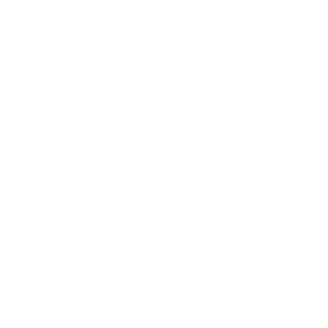 Canadian SEO team