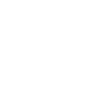 10 year SEO experience
